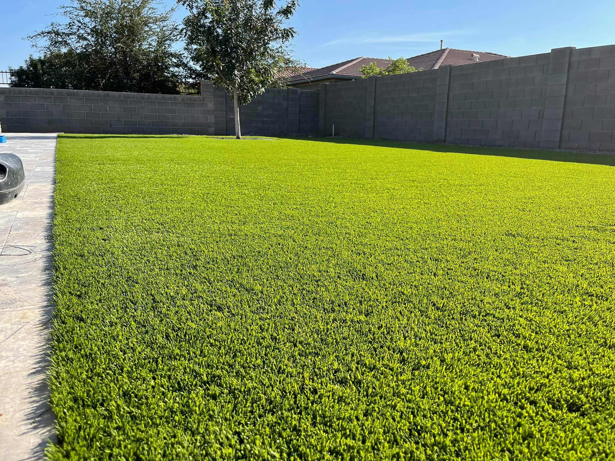 Prime Landscape Design team providing professional landscaping service